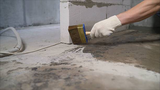 SJ Waterproofing Pros Waterproofing coverage map for Somerville, AL and surrounding area
